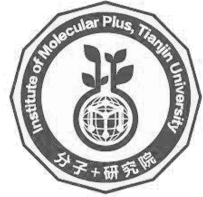 分子+研究院